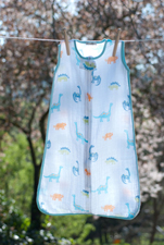 Dinosaur Sleep Sack