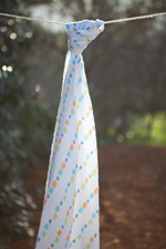 Dinosaur Dot Swaddle Blanket
